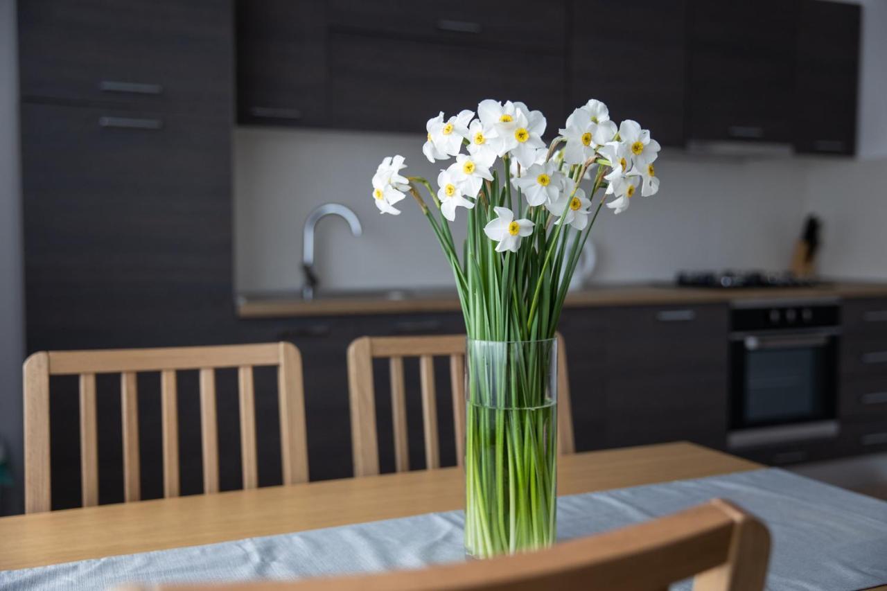 Apartman Ena Bjelovar Esterno foto
