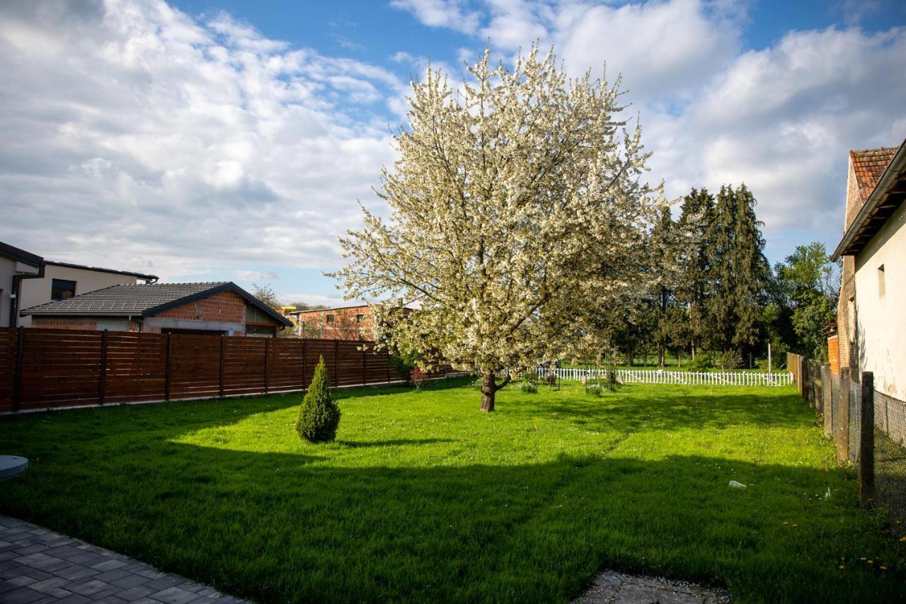 Apartman Ena Bjelovar Esterno foto